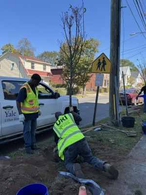 Tree Planting at Ella B Scantlebury